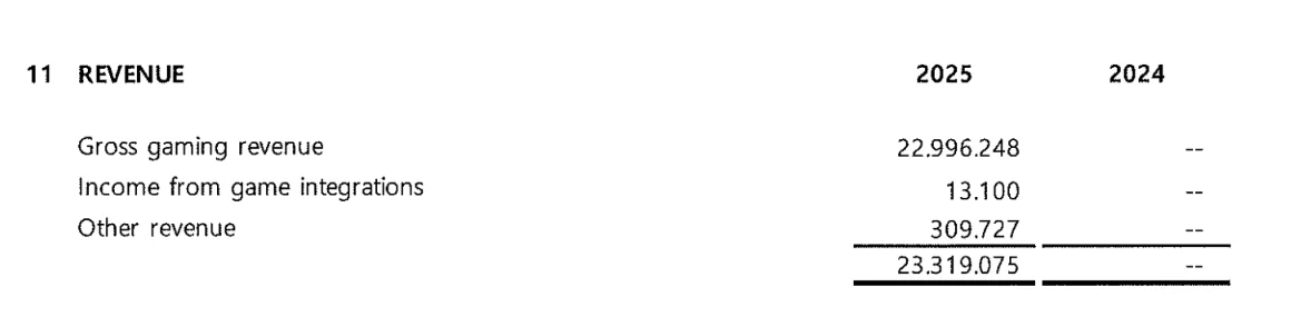 Score55 Tech N.V. Notes to the Financial Statements 2025 - Open to read PDF