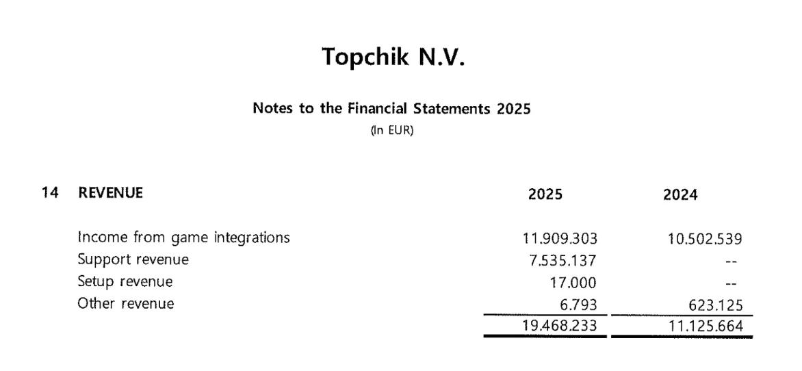 Topchik N.V. Notes to the Financial Statements 2025 - Open to read PDF